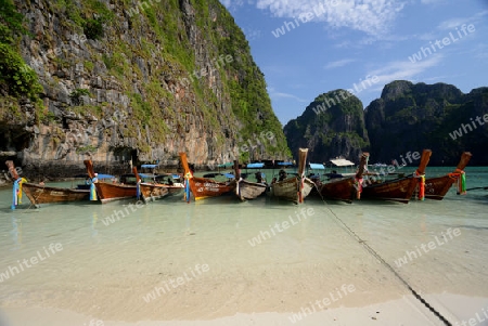 The Maya Beach  near the Ko Phi Phi Island outside of the City of Krabi on the Andaman Sea in the south of Thailand. 