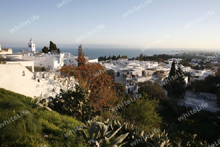 Afrika, Tunesien, Tunis, Sidi Bou Said, Altstadt, 
