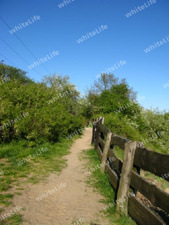 Wanderweg in der Natur