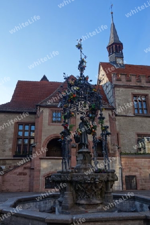 G?nseliese mit blumenl und Rathaus