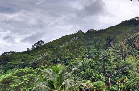 Beautiful impressions of the tropical landscape paradise on the Seychelles islands