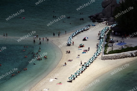 Die Strand und Insellandschaft auf der Insel Koh Naang Yuan neben der Insel Ko Tao im Golf von Thailand im Suedwesten von Thailand in Suedostasien. 