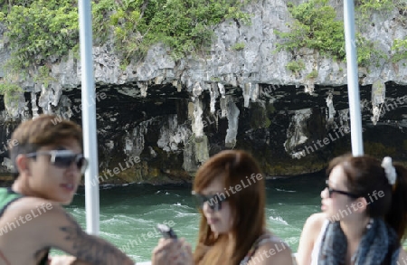 Kalkfelsen und Hoehlen im Ao Phang Nga Nationalpark wenige Bootsminuten oestlich von der Hauptinsel Puket auf der Insel Phuket im sueden von Thailand in Suedostasien.