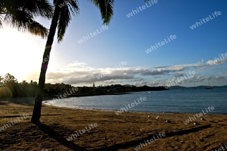 airlie beach  