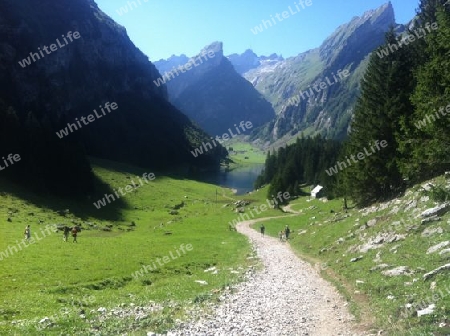 Beim wandern in der Schweiz