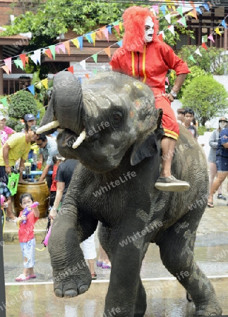 Das Songkran Fest oder Wasserfest zum Thailaendischen Neujahr ist im vollem Gange in Ayutthaya noerdlich von Bangkok in Thailand in Suedostasien.  