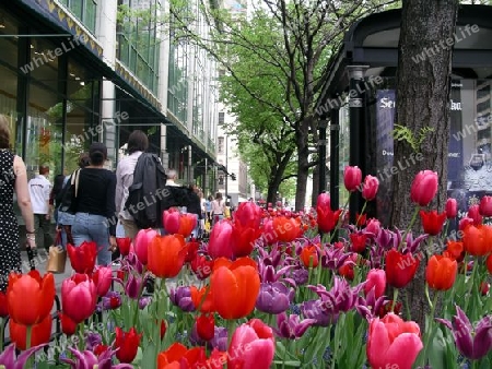 Michigan Avenue