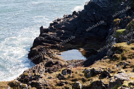 Der Westen Islands, die Klippen der Steilk?ste von Arnastapi auf der S?dseite der Halbinsel Sn?fellsnes