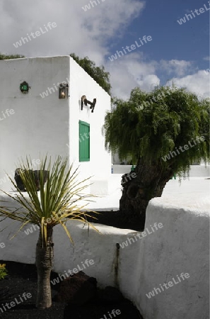 a traditional withe House on the Island of Lanzarote on the Canary Islands of Spain in the Atlantic Ocean.
