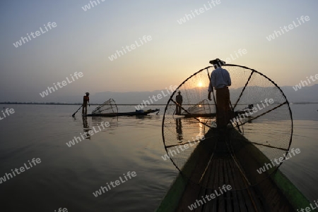 Fishermen at sunrise in the Landscape on the Inle Lake in the Shan State in the east of Myanmar in Southeastasia.