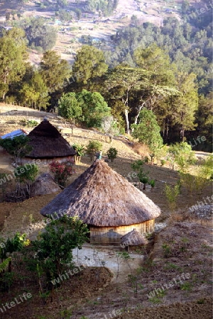  Bergdorf Maubisse suedlich von Dili in Ost Timor auf der in zwei getrennten Insel Timor in Asien.  