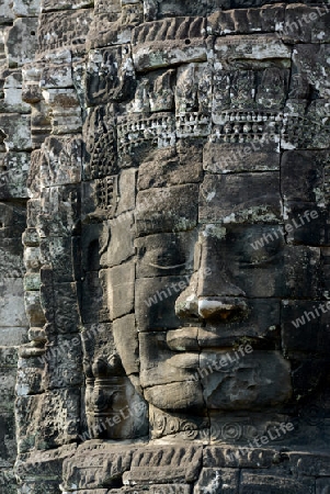 Stone Faces the Tempel Ruin of Angkor Thom in the Temple City of Angkor near the City of Siem Riep in the west of Cambodia.