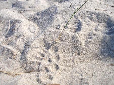 Spuren im Sand