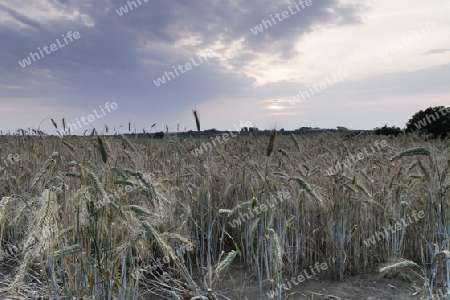 Liebliche Landschaft in der Schorfheide, Brandenburg