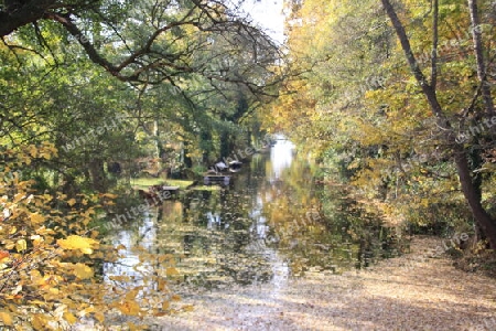 Am Heiligen See