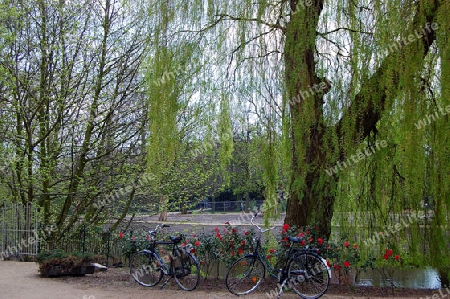 Vondelpark, Amsterdam