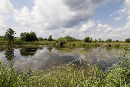 Liebliche Landschaft in der Schorfheide, Brandenburg