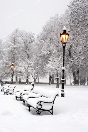 Bratislava - winter in der Burgpark