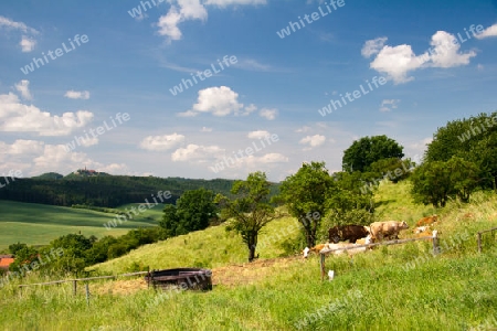 Sommerlandschaft Unterbodnitz