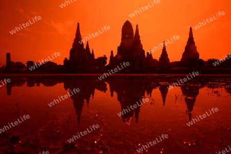 The Wat Chai Wattanaram Temple in City of Ayutthaya in the north of Bangkok in Thailand, Southeastasia.