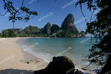 The Hat Railay Leh Beach at Railay near Ao Nang outside of the City of Krabi on the Andaman Sea in the south of Thailand. 