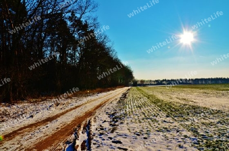 Schnee trifft Landschaft