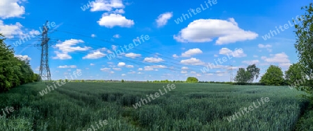 Beautiful high resolution panorama of a landscape with fields and green grass found in Denmark and Germany