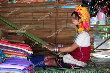 Eine Traditionell gekleidete Langhals Frau eines Paudang Stammes aus Burma lebt in einem Dorf noerdlich von Chiang Mai in Nord Thailand.