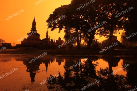 Ein Chedi beim Wat Mahathat Tempel in der Tempelanlage von Alt-Sukhothai in der Provinz Sukhothai im Norden von Thailand in Suedostasien.