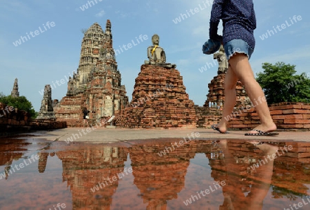 The Wat Chai Wattanaram Temple in City of Ayutthaya in the north of Bangkok in Thailand, Southeastasia.