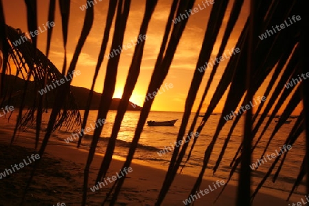 Suedamerika, Karibik, Venezuela, Isla Margarita, Ostkueste, Manzanillo, Playa Cuacuco, Strand, Beach, Meer,  Landschaft, Baden, Ferien, Palme, Fischerboot, Stimmung, Abend, Sonnenutergang, Ferien, Bucht, 