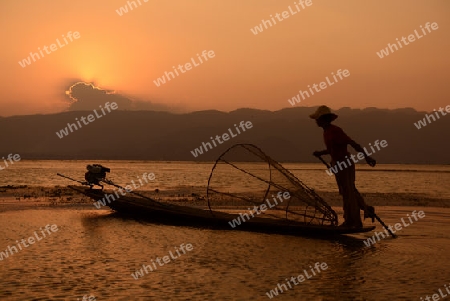 Fishermen at sunrise in the Landscape on the Inle Lake in the Shan State in the east of Myanmar in Southeastasia.