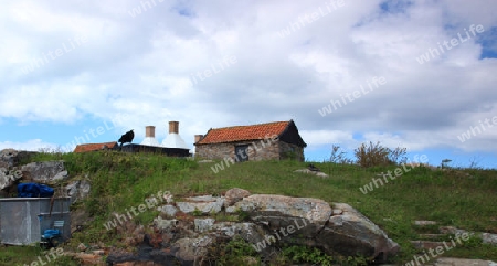 Fischreucerrei auf der Insel Bornholm D?nemark