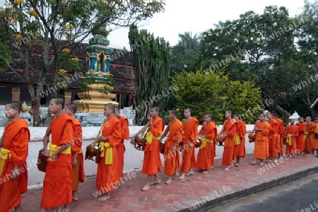 Moenche am fruehen Morgen beim einsammeln von Reis in der Altstadt von Luang Prabang in Zentrallaos von Laos in Suedostasien.