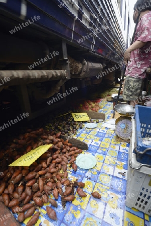 the Maeklong Railway Markt at the Maeklong railway station  near the city of Bangkok in Thailand in Suedostasien.