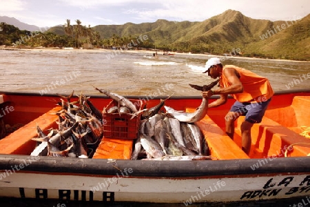 Suedamerika, Karibik, Venezuela, Nord, Chuao, National Park Hanri Pittier, Dorf, Cacao Dorf, Kakao Dorf, Beach, Strand, Boot, Taxiboot, Fisch Transport, Fischer, Dorf ohne Strassenverbindung, Wirtschaft,  