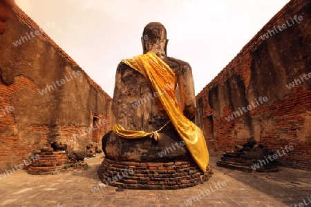 Der Wat Chetharam Tempel in der Tempelstadt Ayutthaya noerdlich von Bangkok in Thailand. 