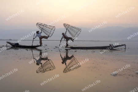 Fishermen at sunrise in the Landscape on the Inle Lake in the Shan State in the east of Myanmar in Southeastasia.