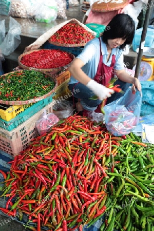 Menschen auf dem Grossen Lebensmittelmarkt von Talat Warorot in Chiang Mai im Norden von Thailand. 