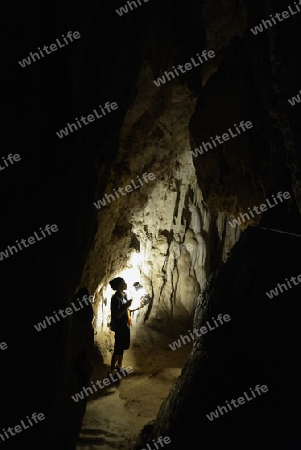 Die Hoehle Cave Pangmapha in der Bergregion von Soppong im norden von Thailand in Suedostasien.