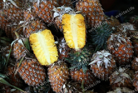 Ananas auf dem Talat Warorot Markt in Chiang Mai in der Provinz Chiang Mai im Norden von Thailand in Suedostasien.