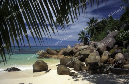 Ein Traumstrand auf der Insel La Digue der Inselgruppe Seychellen im Indischen Ozean in Afrika.