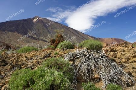 Pico del Teide