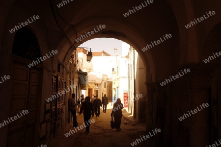 Afrika, Nordafrika, Tunesien, Tunis
Eine Gasse in der Medina mit dem Markt oder Souq in der Altstadt der Tunesischen Hauptstadt Tunis.



