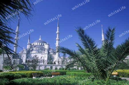 Die Blaue Moschee im Stadtteil Sulranahmet in Istanbul in der Tuerkey.