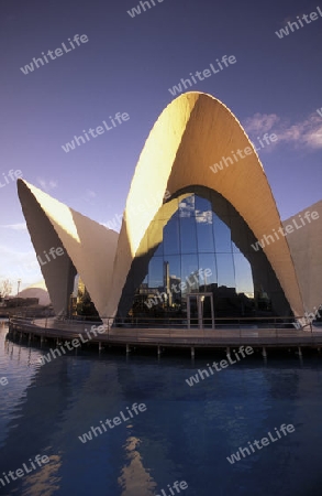 Das L Oceanografic im Modernen Stadtteil von Valenzia in Spanien in Europa.