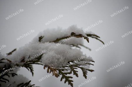 Schnee unterm Macro