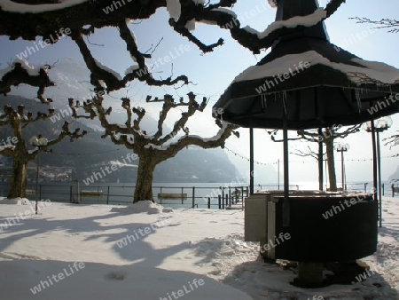 Grillstand Waldst?tterhof Brunnen