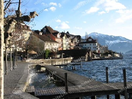 Am Zugersee