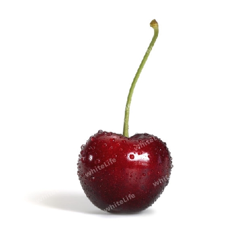 Studio photography of a wet cherry with dewdrops on it, isolated on white with shadow